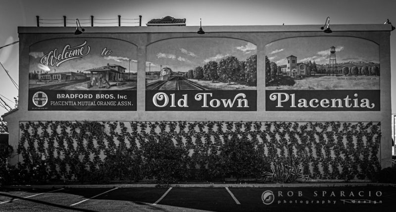 50A2825-Edit