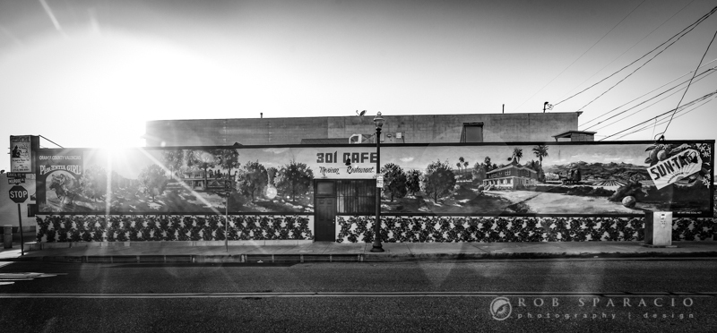 50A3028-Edit